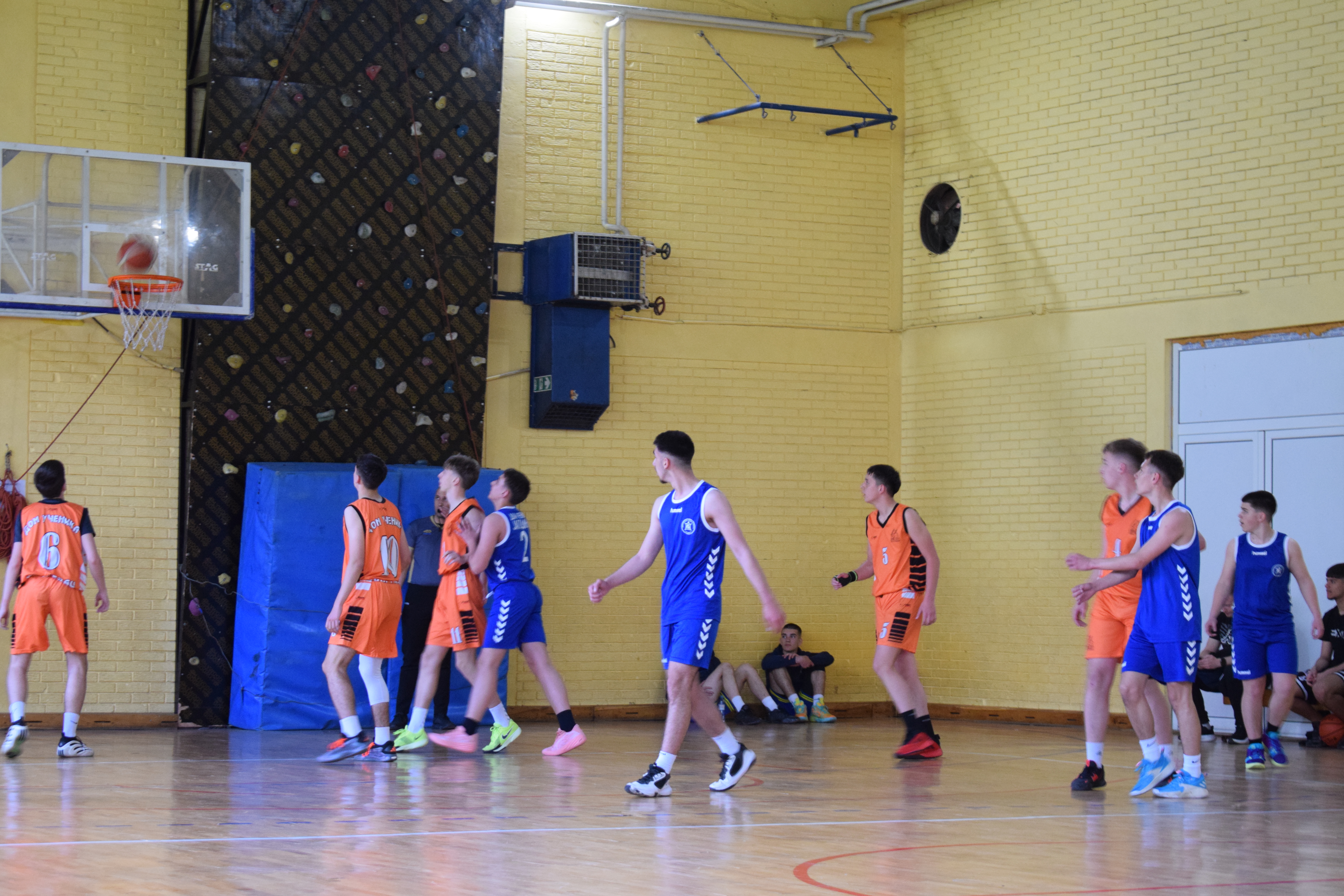 спортска домијада 7