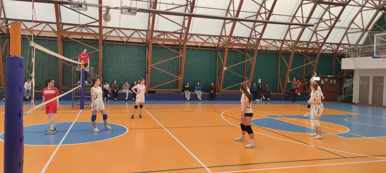 спортска домијада 5