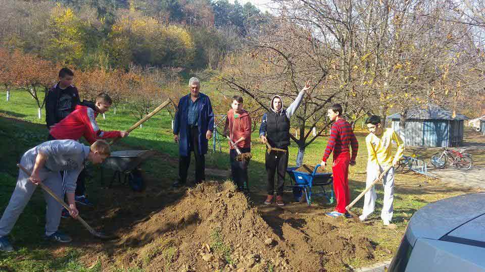 Еко секција 6