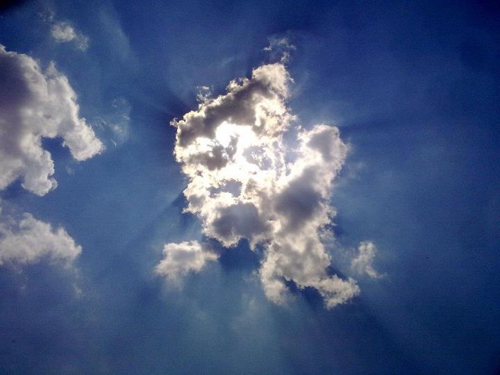 Фото секција 11