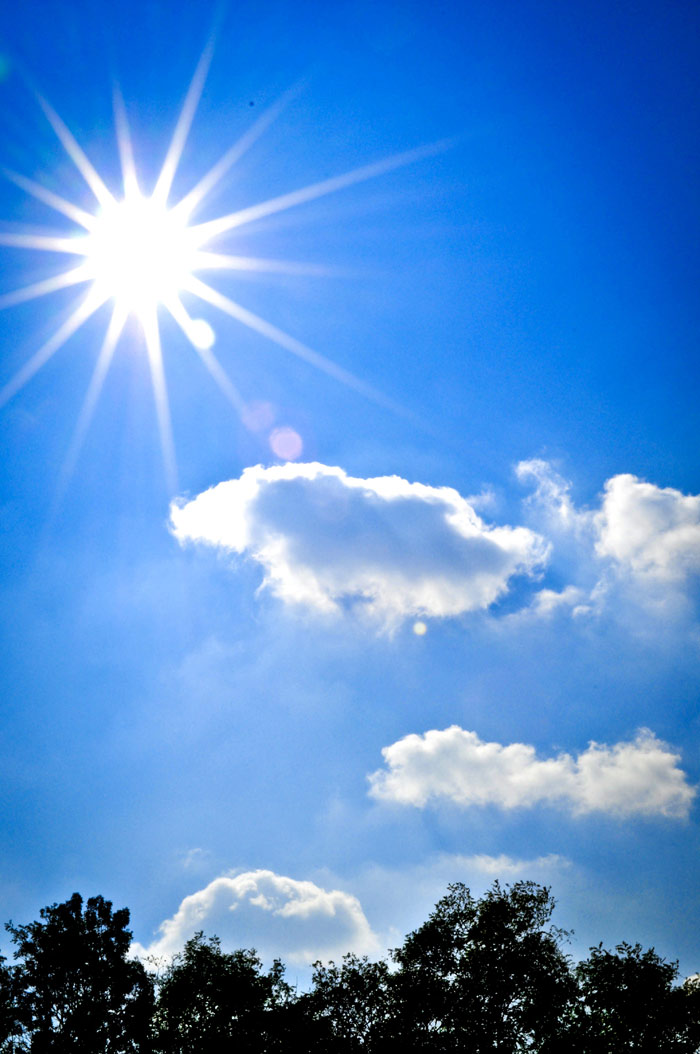 Фото секција 15