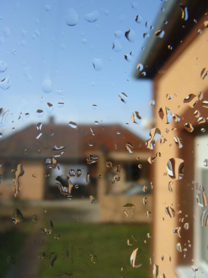 Фото секција 16