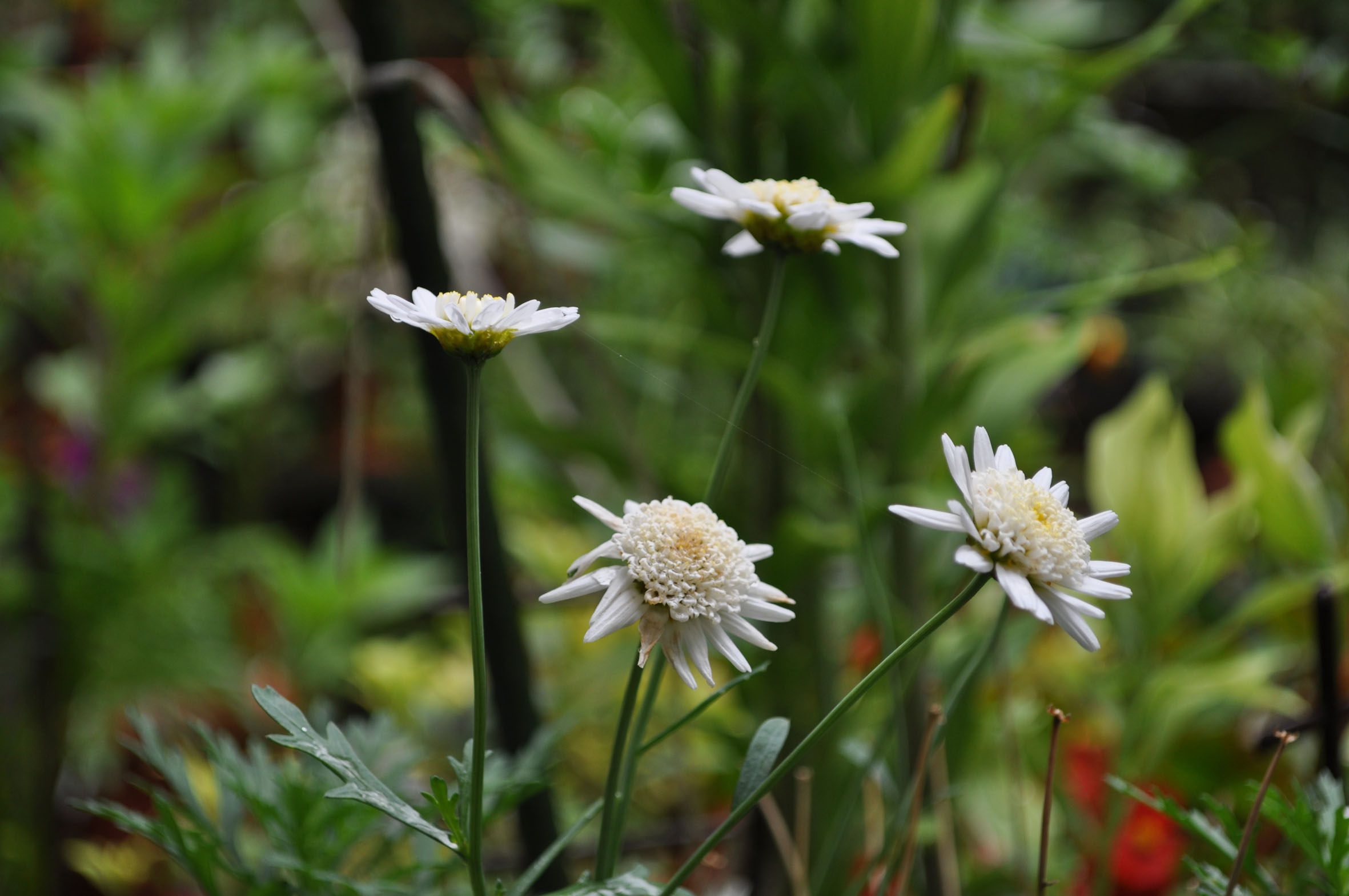 Фото секција 5