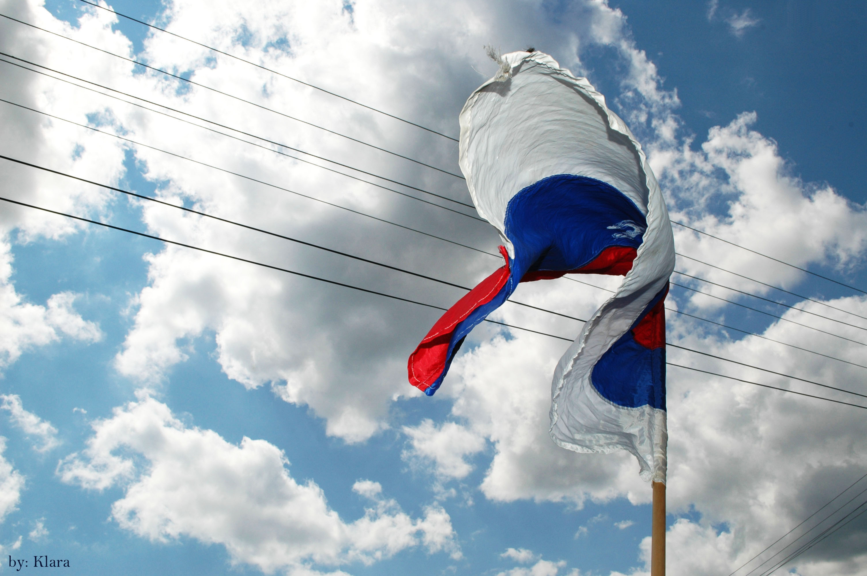 Фото секција 6