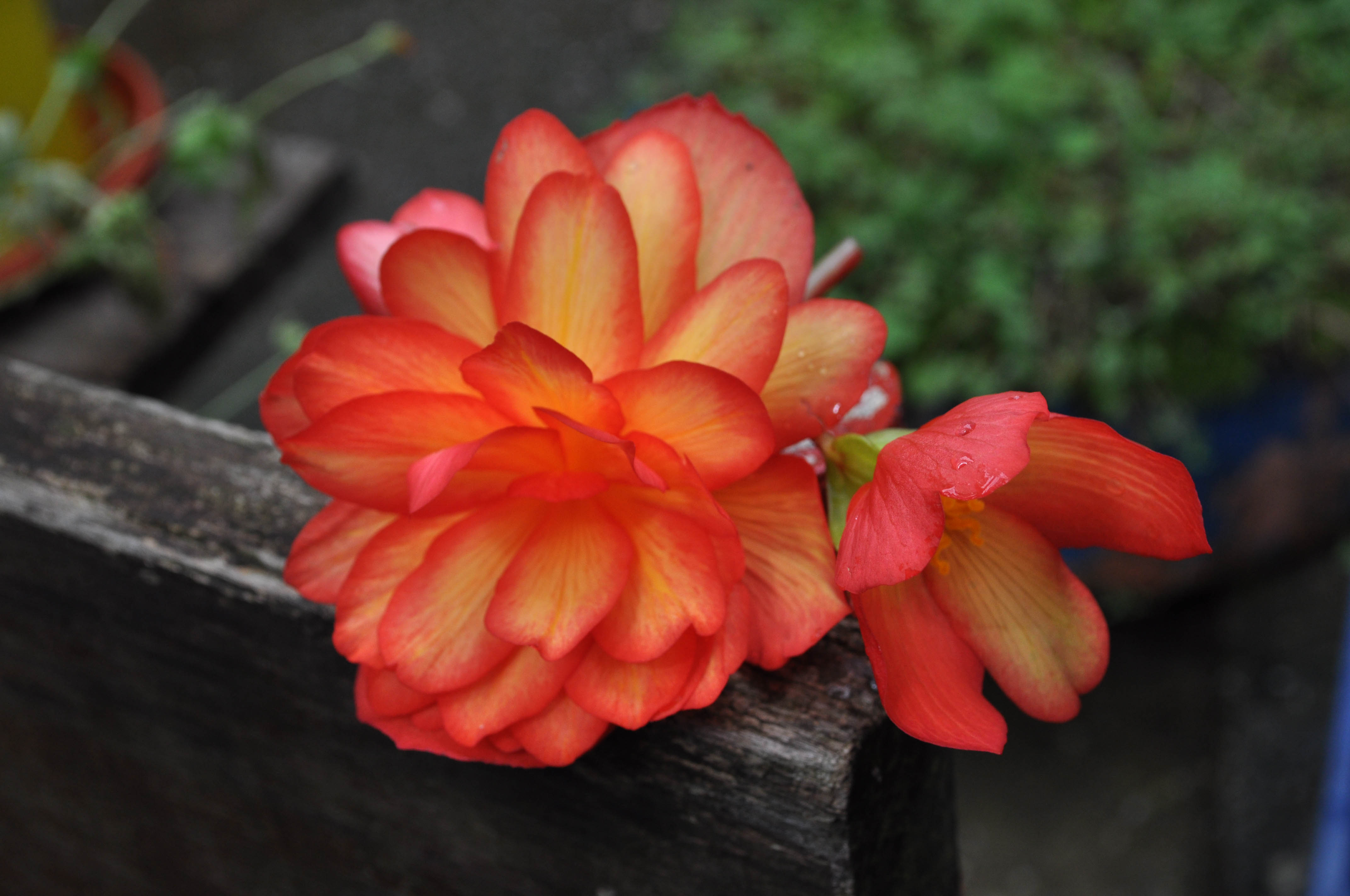 Фото секција 7