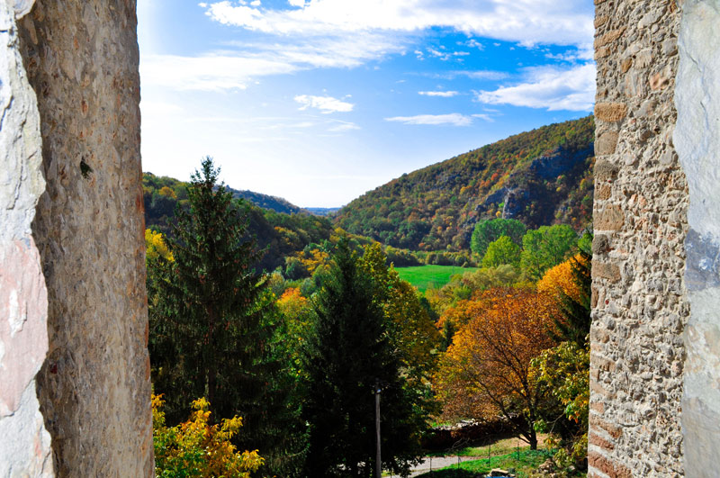 Фото секција 9